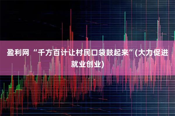 盈利网 “千方百计让村民口袋鼓起来”(大力促进就业创业)
